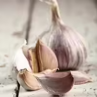 garlic