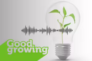 light bulb with a plant inside of it. text good growing