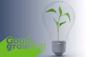 light bulb with a plant inside of it. text good growing