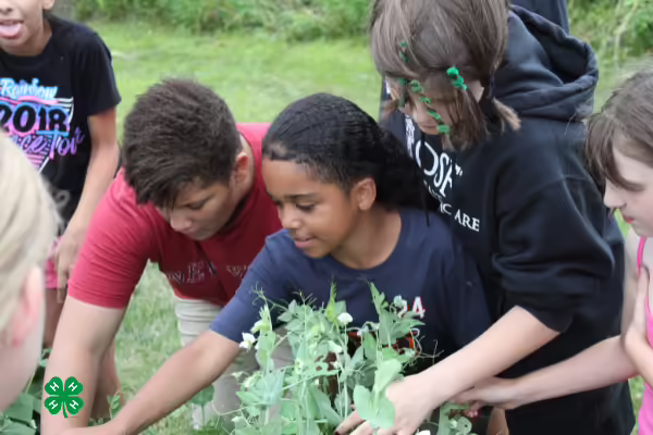 youth working in a garden outside