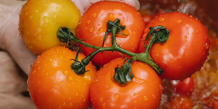 5 tomatoes