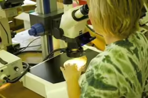 Women looking into microscope