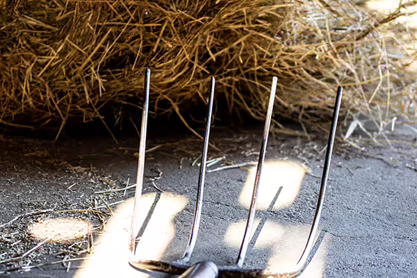 pitchfork and hay