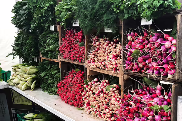 radishes and vegetables at farmers market
