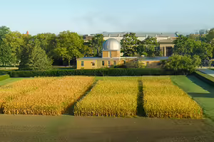 Morrow Plots