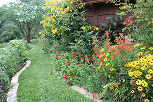 Native community garden