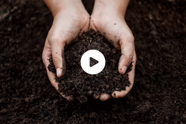 person holding dirt video