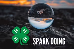 New Project Guide Available