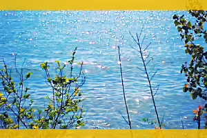 overlooking a lake from the shore line