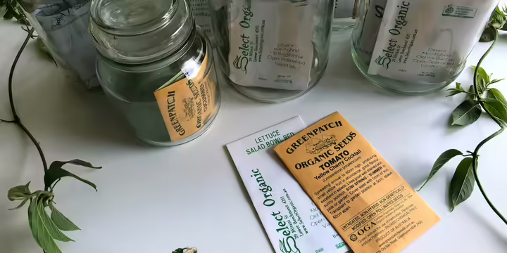 garden seeds in jars and envelopes on a white table