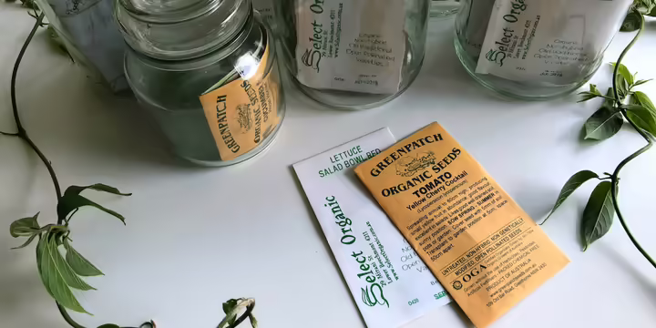 Garden seeds in glass jars and envelopes on a white table.