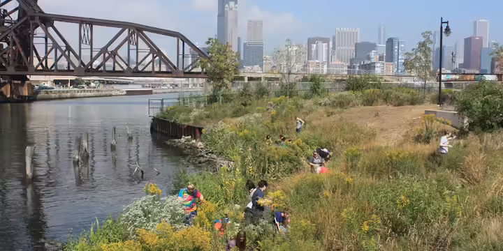 people gather in grasslands with the Chicago city landscape behind them