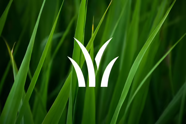 grass sign up