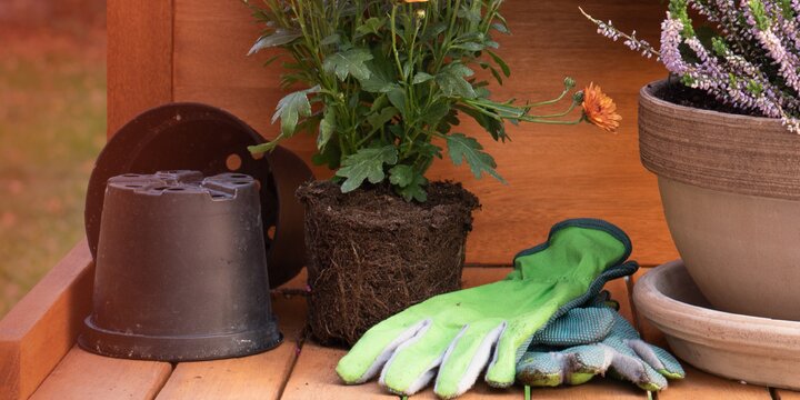 Gardening materials, plants, and gloves on a bench. 