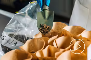 paper bags for collecting soil