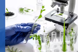 plants in tubes. a hand holding a plant near a microscope