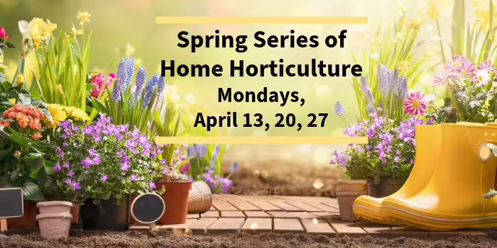 spring flowers and gardening items