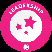 Teen Leadership