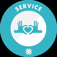 Volunteer Opportunities