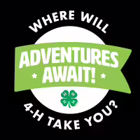 Educational Programs