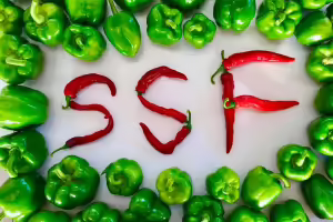green pepper and peppers