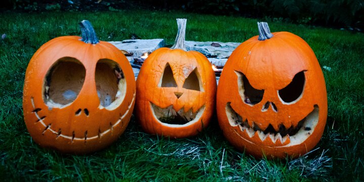 three carved pumpkins sit in grass