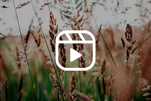 prairie grass video training