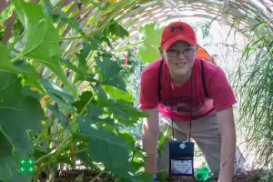 boy crawling through tunnel