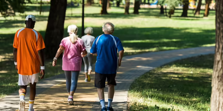 A group of people walk on a shaded path surrounded by green grass and shade trees. 