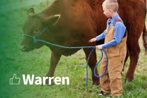young boy in bibs with a rope halter over a cow. text warren