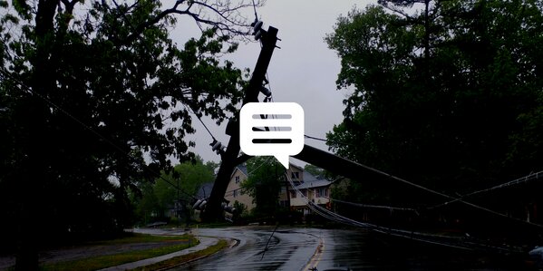 Broken tree and utility pole