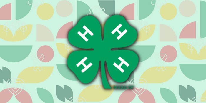 4-H logo over a colorful background pattern