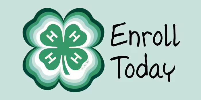 light green background with a large 4-H clover on it