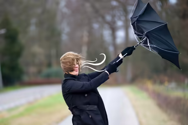 umbrella blowing in the wind