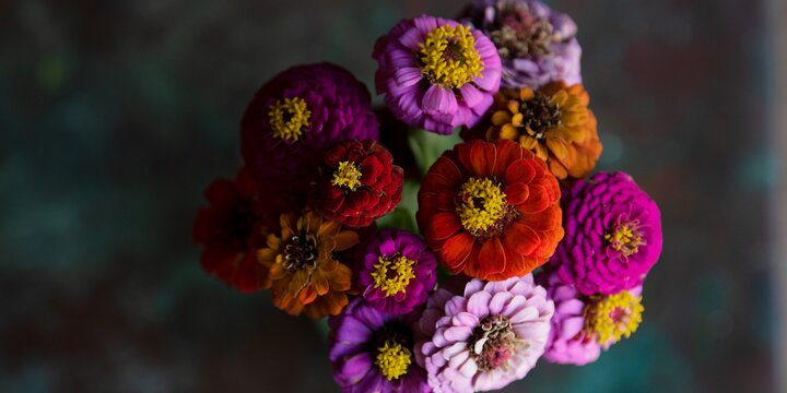 purple, orange, pink flower bouquet