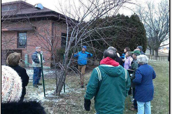 pruning a tree using hand pruners