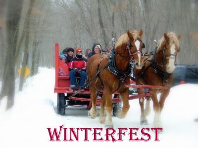 Two Draft Horses pulling a wagon with people of all ages
