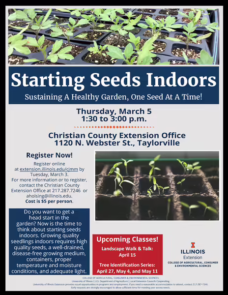 Seed Workshop