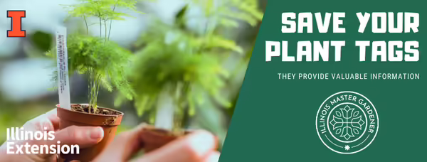 identification tag on plant