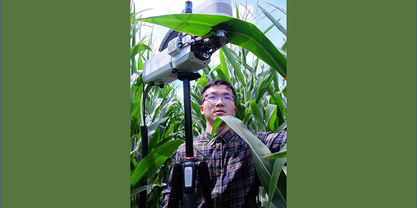 Ziyi Li analyzing leaf tissue in the field