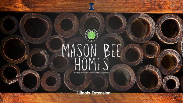 Wooden tubes background with text "Mason Bee Homes hosted by Piatt County Master Gardeners"