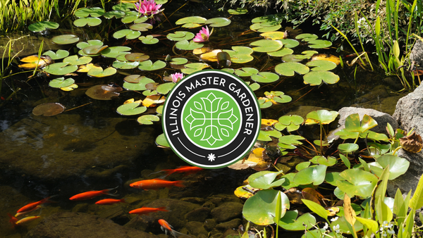 "Illinois Master Gardener" in front of a water garden with lily pads and goldfish.