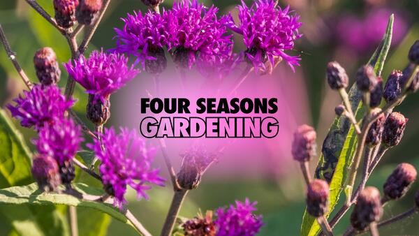 purple flowers in the background with "Four Seasons Gardening" in the front.