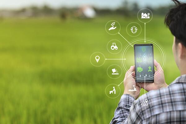 man in field with smart phone