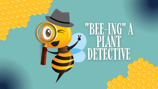 Bee looking through a magnifying glass, including text "Bee-ing a plant detective"