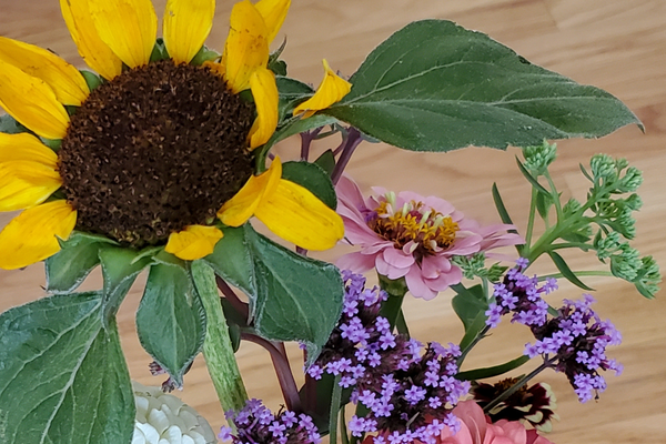 A sunflower, a pink zinnia, and a set of small purple flowers against a wood background