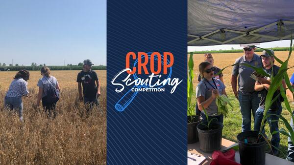 youth inspecting soybean and corn fields