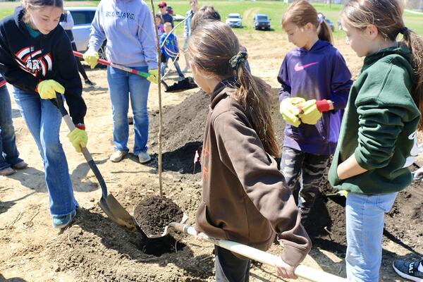 4 youth using shovels to plant a small tree