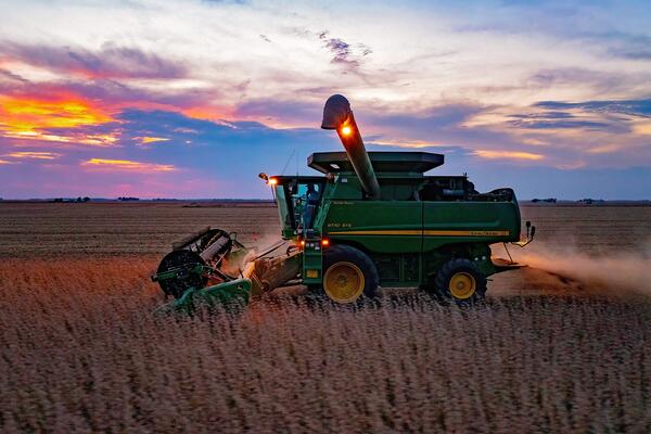 combine harvesting soybeans at sunset