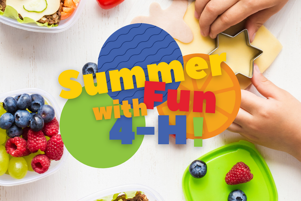bowl of grapes and berries and hands holding a star cookie cutter behind the words "summer fun with 4-H!"